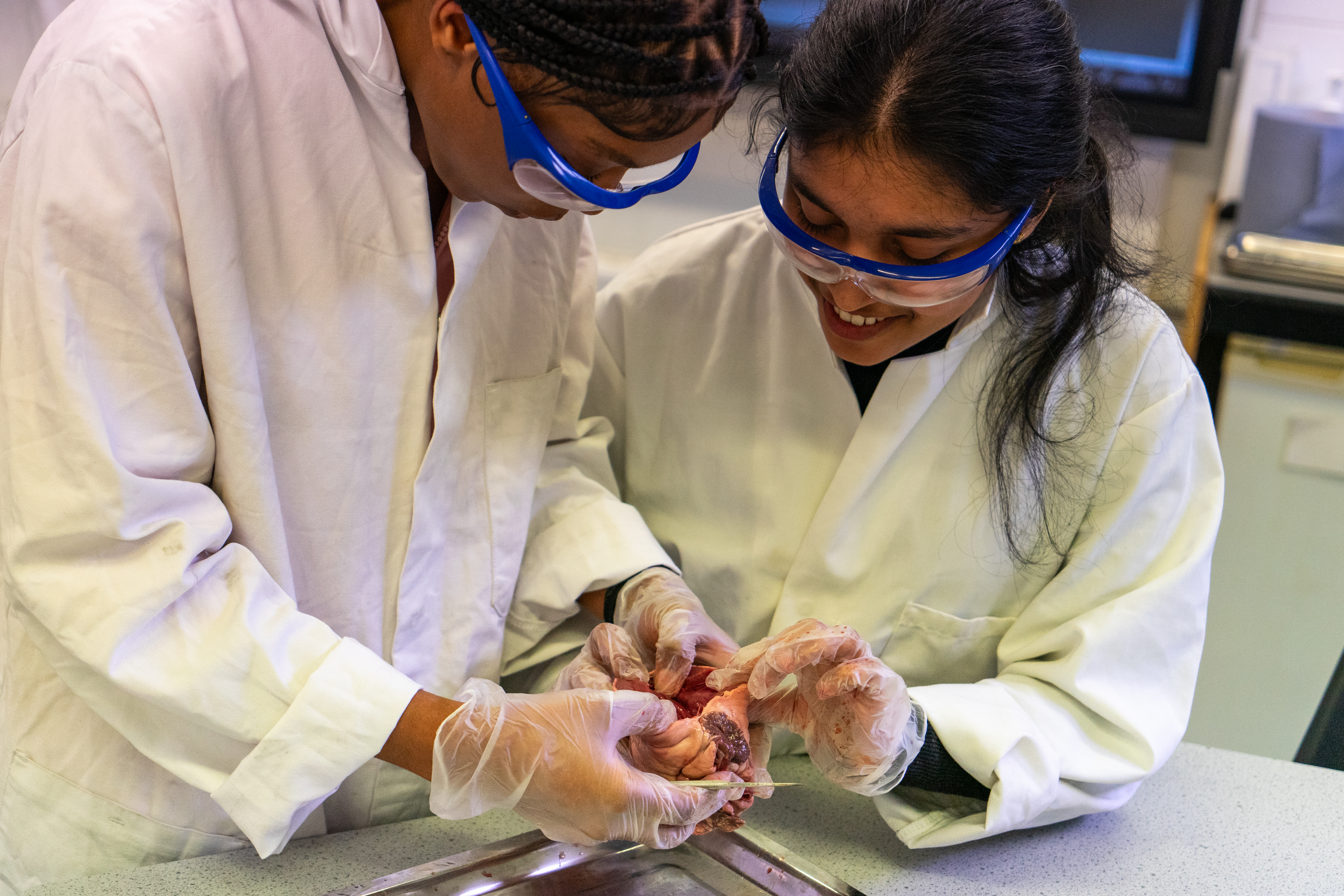 Science, Maths And Engineering Main